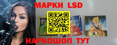тгк Новокубанск