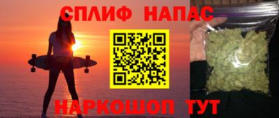 индика Новозыбков