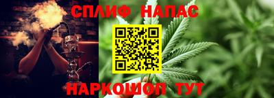 индика Новозыбков