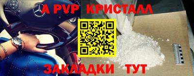 индика Новозыбков