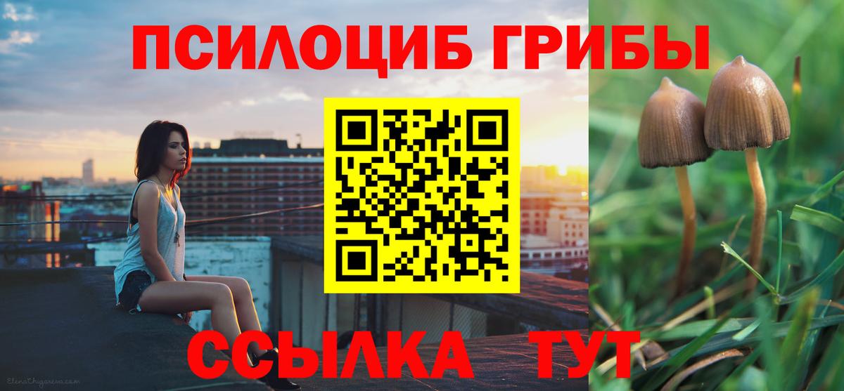 Галлюциногенные грибы мухоморы Семёнов